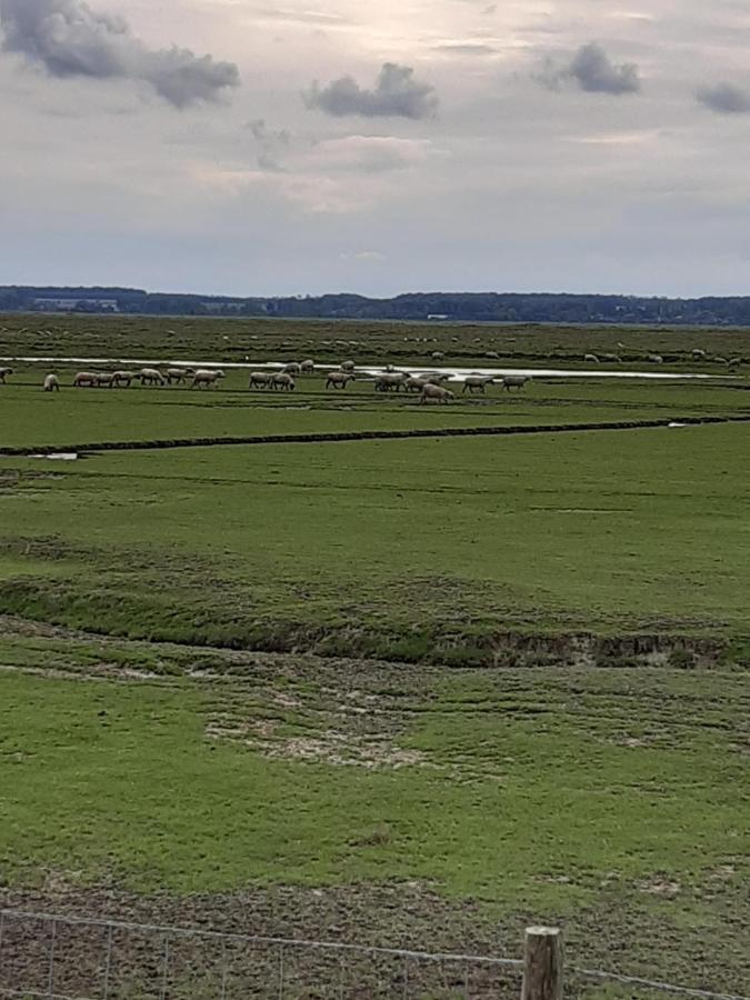 Les Obiones, Vue Laterale Mer, Fort Mahon Plage, Magnifique Studio Cabine 4P, Avec Balcon , Parking Prive Gratuit, Wifi, Classe 2 Etoiles, Exposition Plein Sud En Baie De Somme Exteriör bild