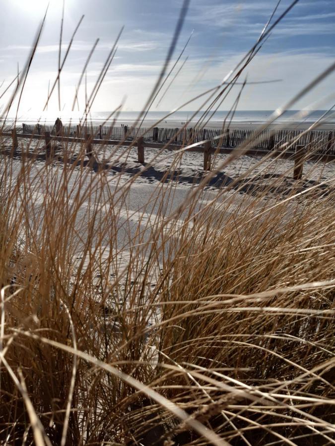 Les Obiones, Vue Laterale Mer, Fort Mahon Plage, Magnifique Studio Cabine 4P, Avec Balcon , Parking Prive Gratuit, Wifi, Classe 2 Etoiles, Exposition Plein Sud En Baie De Somme Exteriör bild